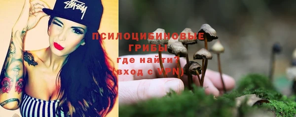 стафф Нефтегорск